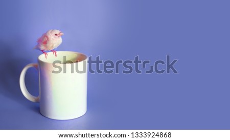 White bird on the white cup. Relaxing lilac sweet background