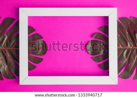 Tropical monstera leaves with white frame isolated on pink background minimal creative concept. Space for copy.