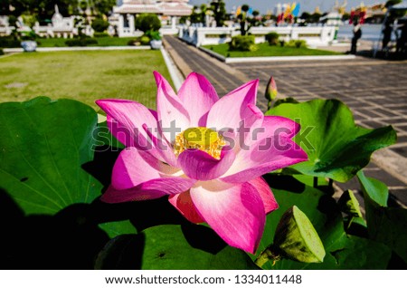 Thailand, Wat Arun Temple And Statues