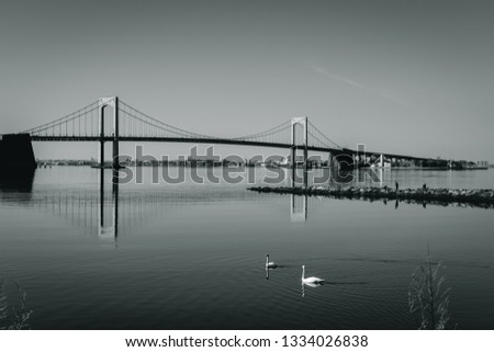Throgs Neck Bridge with two swans swimming in foreground viewed from Little Bay park on a sunny day in Beechhurst, Queens, NY. Black and white.