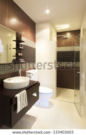 luxury modern style interior bathroom.