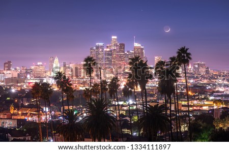 Beautiful night of downtown Los Angeles and palm trees in foreground