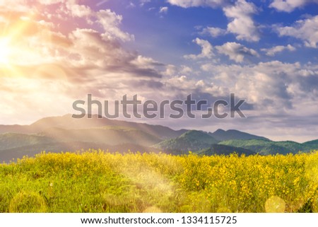 Beautiful sunrise in a spring morning over a colorful bright yellow rapeseed Brassica napus crop filed, with dramatic cloudy sky, enhanced sun light rays and mountains in the background.