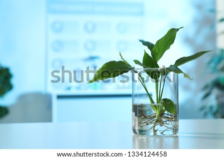 Beaker with plant on table in laboratory, space for text. Biological chemistry