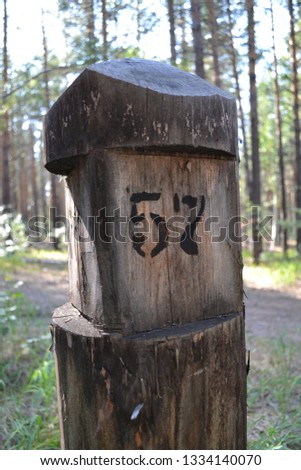 stump in the forest with the inscription 57