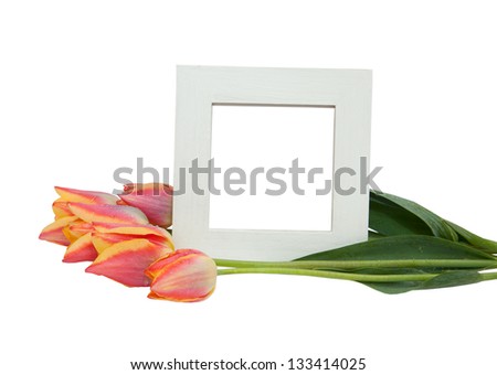 White wood frame and orange tulips isolated on white background