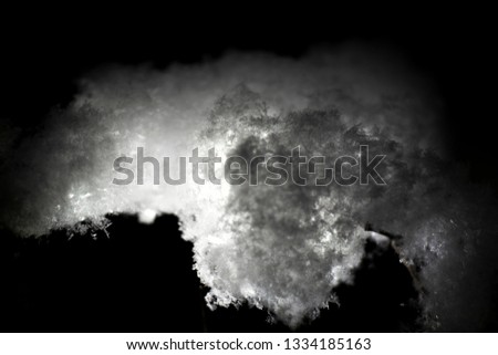 A thin twig of a tree covered with snow at night on a black background
