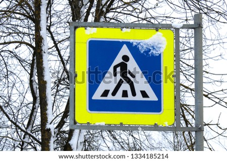 Crosswalk sign among snowy trees