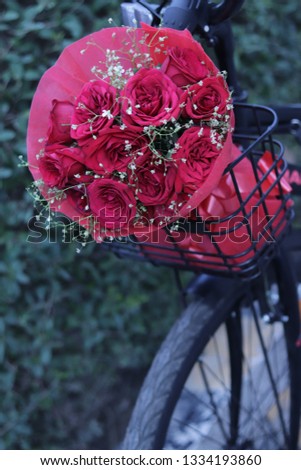 Bicycle basket filled with fresh and romantic red roses bunch, Valentine’s Day and Love concept, close up of bicycle basket filled with red roses, closes up of red roses bouquet
