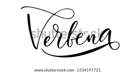 Word 'Verbena' written in modern calligraphy style with flourish. Nice, elegant, isolated trace on white background. Perfect for menu, package, spice boxes, tags, labels.
