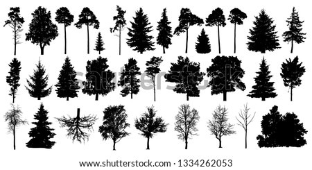 Tree silhouette black vector. Isolated set forest trees on white background