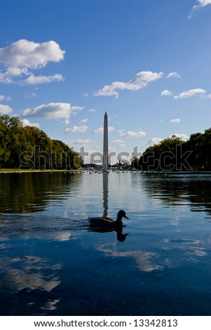 Obelisk in Washington D.C.