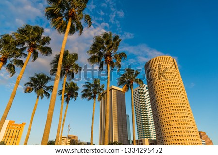 Palm trees and skyscrapers in downtown Tampa at sunset. Florida, USA