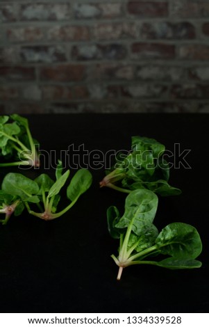 Fresh Spinach on Black Background