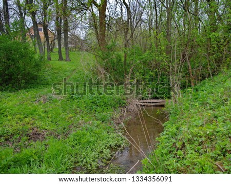 Spring landscape, nature. Beautiful Landscape. Park with Green Grass and Trees. Tranquil Background