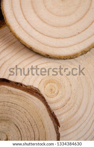 Piled pine tree trunk cross-sections with annual rings. Lumber piece close-up.