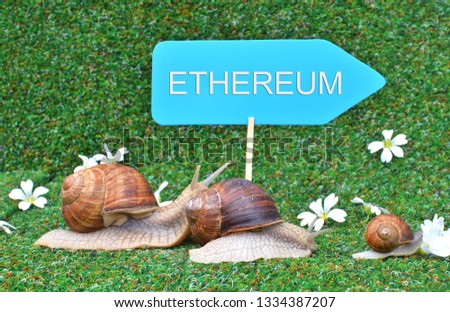 Three snails rushing for ETHEREUM