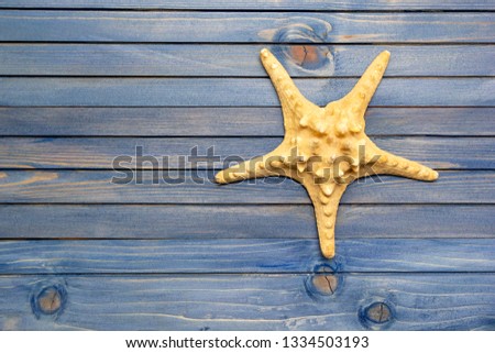 Starfish on blue wooden background, flat lay, copy space