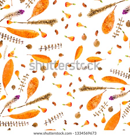Autumn background composition made of falling autumn leaves and petal on white background with space for your ideas texts. top view.