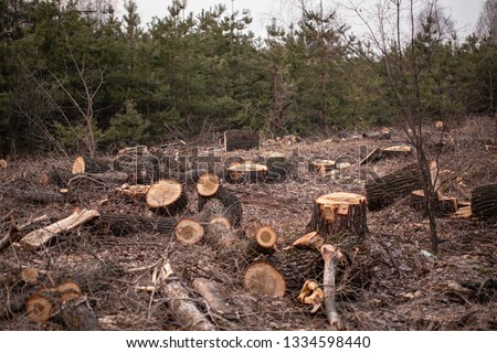 Deforestation, forest clearing Royalty-Free Stock Photo #1334598440