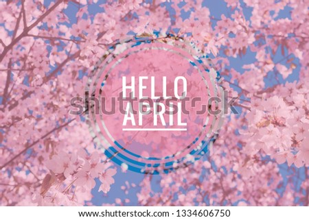 Banner hello april. Hi spring. Hello April. Welcome card We are waiting for the new spring month. The second month of spring. Royalty-Free Stock Photo #1334606750