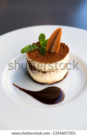 A plate of Tiramisu, a traditional Italian dessert on a plate with chocolate dressing. Royalty-Free Stock Photo #1334607305