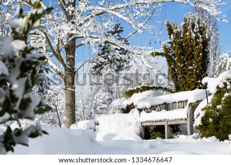 Snow covered wood bench in a snowy winter garden landscape, trees and bushes against a blue sky and white clouds
