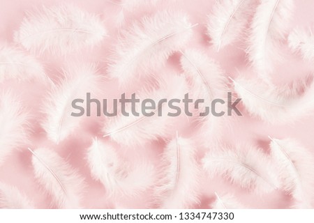 White feathers on pastel pink background. Flat lay, top view, copy space