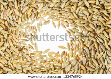 White Free Space is Surrounded by Wheat Grain. Flat Layer with Space for Text. Empty Blank Background. White Backdrop with Wheat Grain