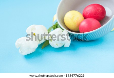 Easter blue background with white tulips and varicoloured dyed Easter eggs. Postal