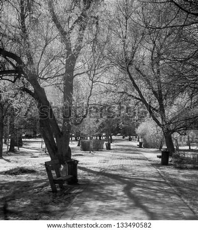 Alone tree in the park - shot in the far infrared region of the spectrum (830 nm)