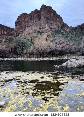 spooky picture of the river at the upper salt river 