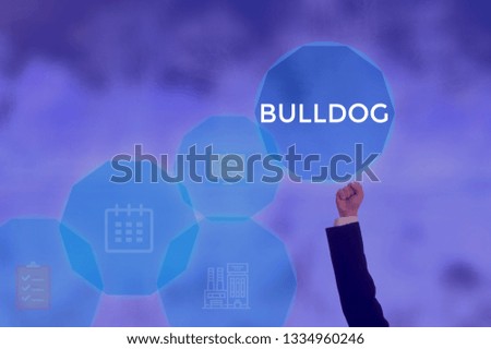 BULLDOG - technology and business concept