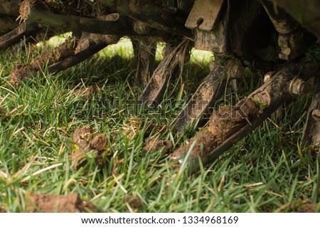 Lawn core aeration on tall fescue grass  Royalty-Free Stock Photo #1334968169