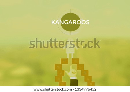 KANGAROOS - technology and business concept