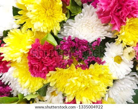 Background of bright colorful flowers. 