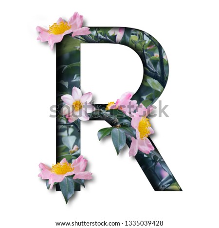 tropical flora flower font alphabet r design with paper cut style on white background