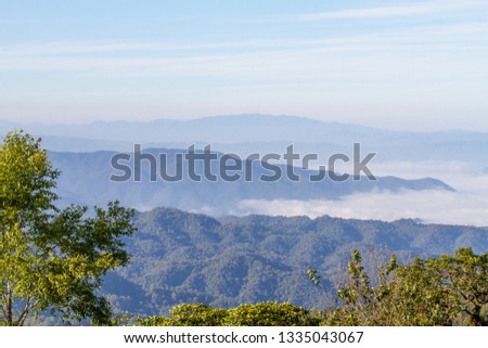 Pictures of trees and mountain fog  views landscape  Beautiful 