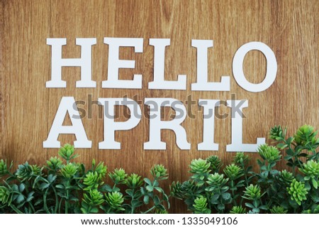 Hello April Alphabet Letters with green plant on wooden background