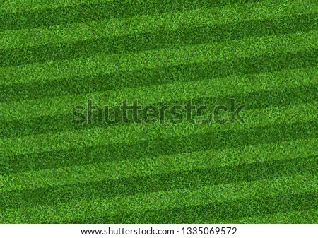 Green grass field background for soccer and football sports. Green lawn pattern and texture background. Close-up image.