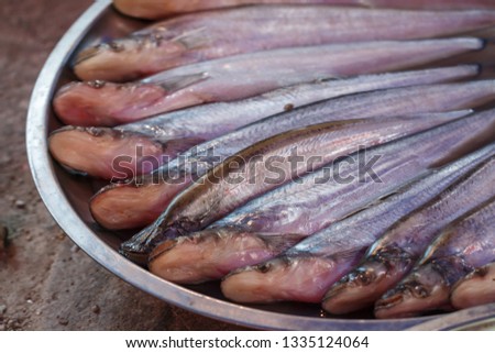 Sheatfishes,Sheatfishes sell in local market Thailand