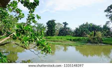 Air Hitam Dalam Educational Forest, Sungai Dua, Seberang Perai Utara Pulau Pinang Malaysia 2019 