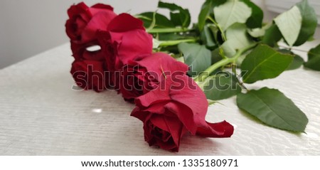 bouquet of five red roses on high green stems lays on white table