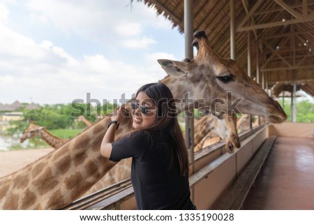 Asian beautiful woman hug big giraffe on animal farm background, nature travel concept.