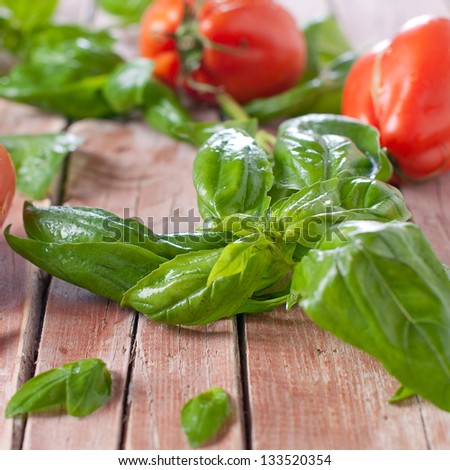 Tomato, basil and garlic on the table