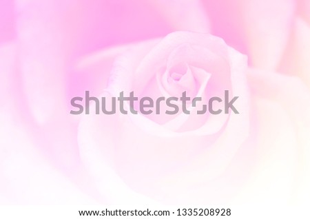 Blurred roses with blurred pattern background