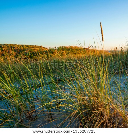 Pictures and impressions of the Baltic Sea coast in Germany 