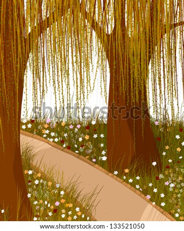 Willow forest and alley. Vector background.