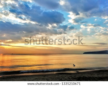 Picture of the sea shore
