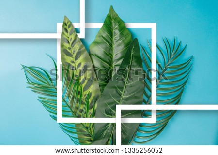Palm leaveswith white paper frame background concept.